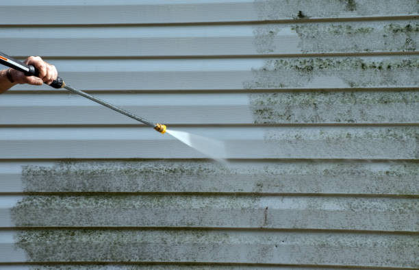 Best Fence Pressure Washing  in Muskegon Heights, MI